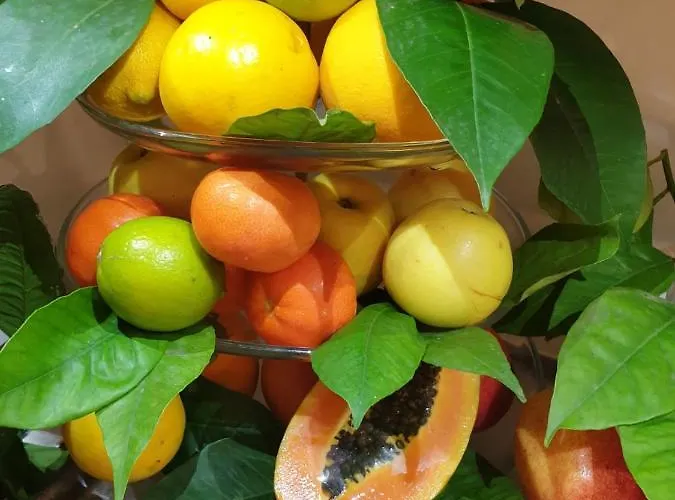 Casa Dominova De Luxe Sorrento