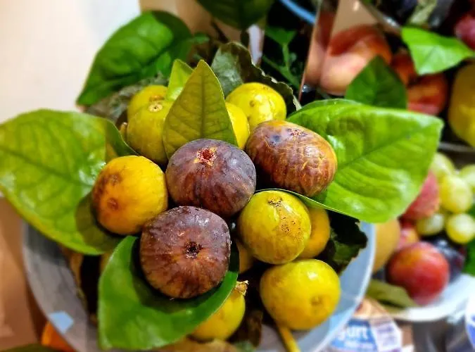 Casa Dominova De Luxe Sorrento